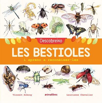 DESCOBREIXO LES BESTIOLES I APRENC A RECONÈIXER-LES | 9788417599201 | ALBOUY, VINCENT