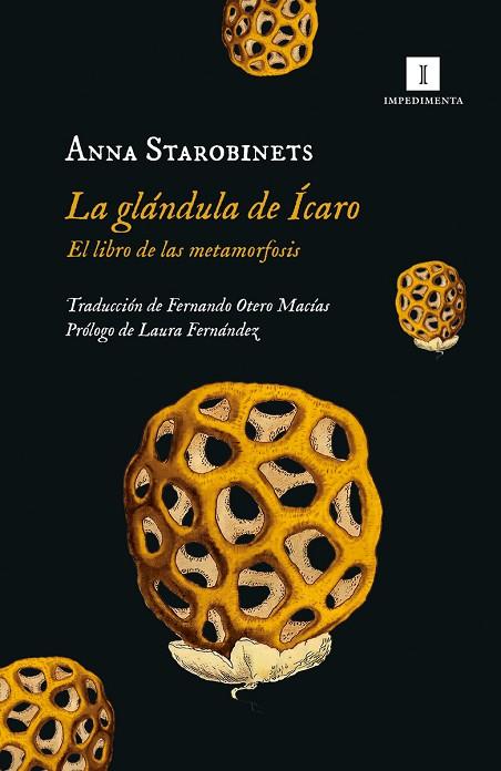 LA GLÁNDULA DE ÍCARO. EL LIBRO DE LAS METAMORFOSIS | 9788419581020 | STAROBINETS, ANNA