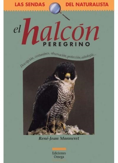 HALCON PEREGRINO | 9788428213202 | MONNERET,RENE-JEAN