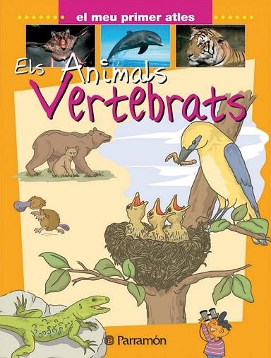 ANIMALS VERTEBRATS | 9788434227101 | MARCET, XAVIER