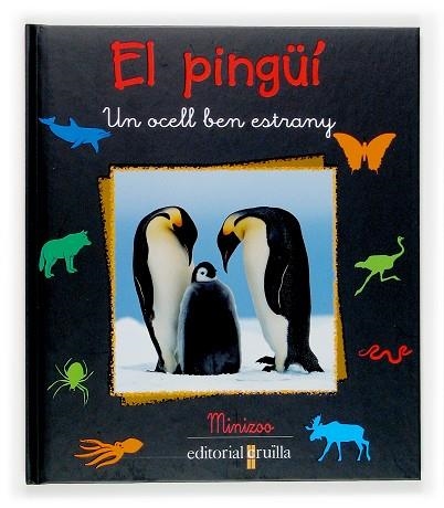 PINGUI. UN OCELL BEN ESTRANY | 9788466113793 | TRACQUI,VALERIE