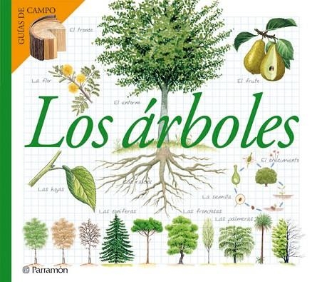 ARBOLES | 9788434228337 | JULIVERT ZAMARREÑO, ÀNGELS