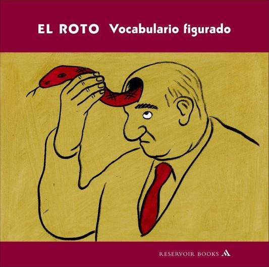 EL ROTO VOCABULARIO FIGURADO | 9788439720133