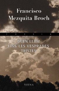 DUEN LLUM FINS LES VESPRADES TRISTES | 9788483303931 | MEZQUITA BROCH,FRANCISCO