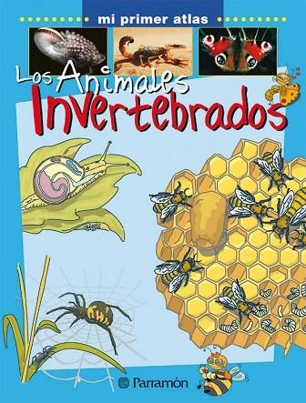 ANIMALES INVERTEBRADOS | 9788434227156 | MARCET, XAVIER