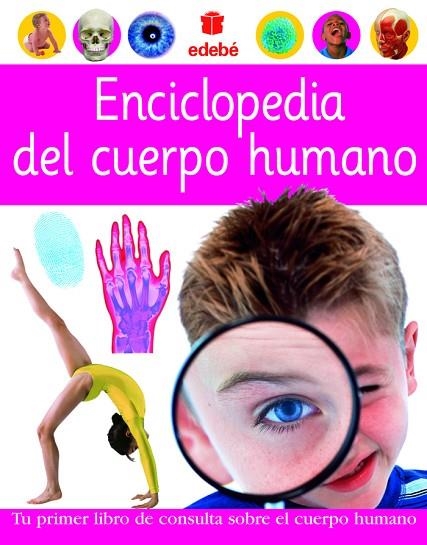 ENCICLOPEDIA DEL CUERPO HUMANO | 9788423674435 | DORLING KINDERSLEY LIMITED