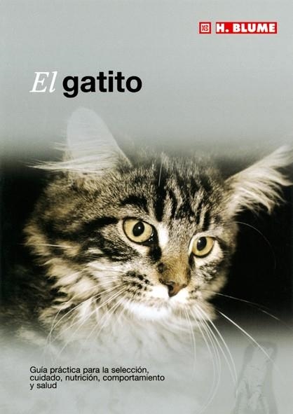 GATITO | 9788489840843