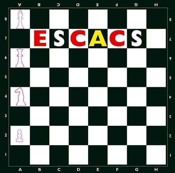 ESCACS (MAGNETIC) | 9788498251432 | POWELL,MICHEL