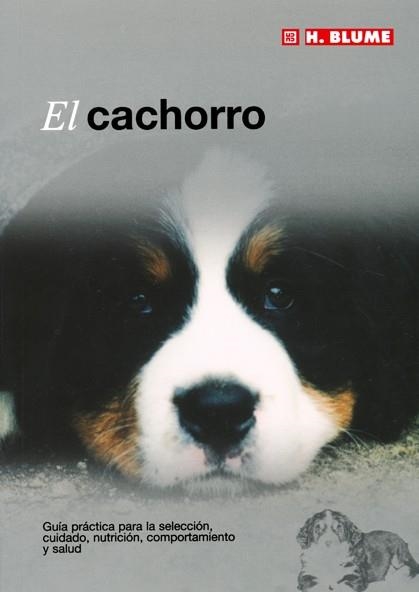 CACHORRO | 9788489840898