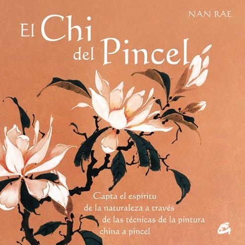 CHI DEL PINCEL | 9788484451051 | RAE,NAN