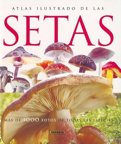 ATLAS ILUSTRADO DE LAS SETAS | 9788430547210 | LAMAISON, JEAN-LOUIS/POLESE, JEAN-MARIE