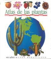 ATLAS DE LAS PLANTAS | 9788434846555 | DELAFOSSE, CLAUDE/PERÓLS, SYLVAINE