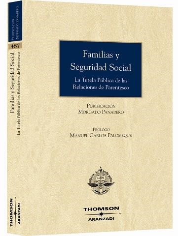 FAMILIAS Y SEGURIDAD SOCIAL. LA TUTELA PUBLICA DE LAS RELACIONES DE PARENTESCO | 9788483555026 | MORGADO PANADERO,PURIFICACION