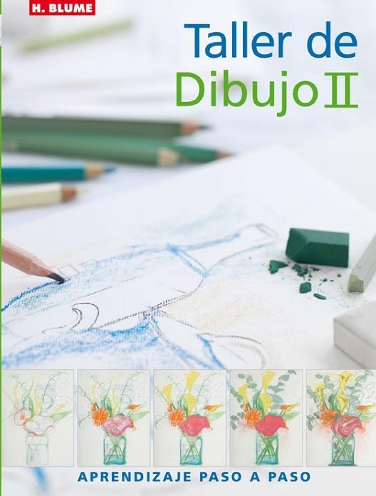 TALLER DE DIBUJO II | 9788496669369