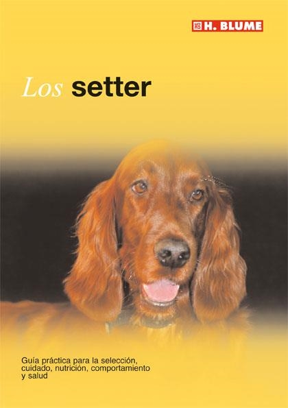 SETTER | 9788496669154