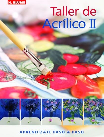 TALLER DE ACRILICO II | 9788496669345