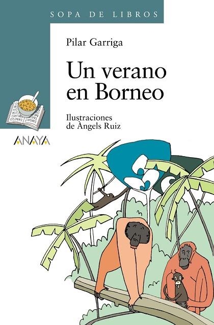 UN VERANO EN BORNEO | 9788466784283 | GARRIGA,PILAR