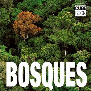 BOSQUES | 9788496865839 | AAVV