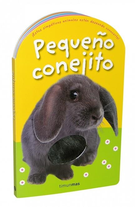 PEQUEÑO CONEJITO. CARTRO | 9788408084907 | VARIOS AUTORES