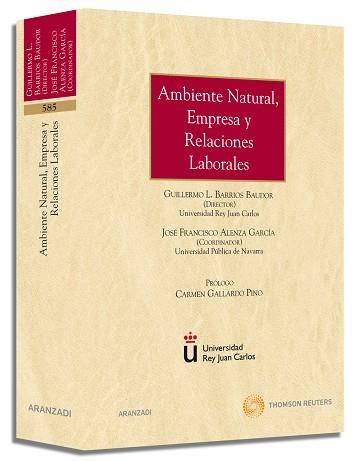 AMBIENTE NATURAL, EMPRESA Y RELACIONES LABORALES | 9788499032283 | ALENZA GARCIA,JOSE FRANCISCO BARRIOS BAUDOR,GUILLERMO