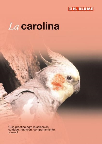 CAROLINA | 9788496669123