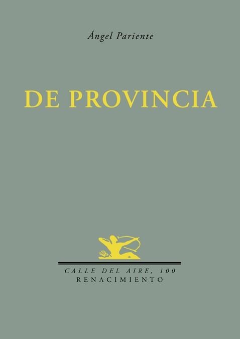 DE PROVINCIA | 9788484724988 | PARIENTE,ANGEL