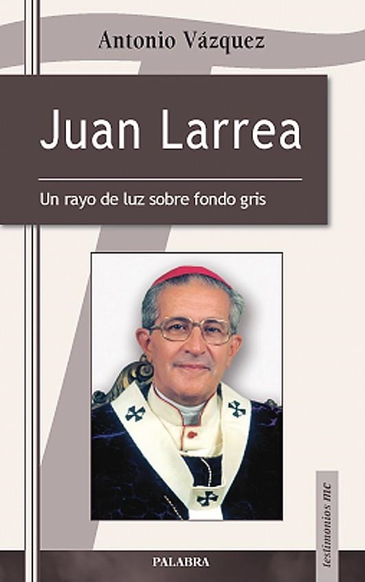 JUAN LARREA UN RAYO DE LUZ SOBRE FONDO GRIS | 9788498403268 | VAZQUEZ,ANTONIO