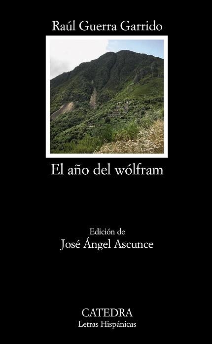 AÑO DEL WOLFRAM | 9788437626505 | GUERRA GARRIDO,RAUL