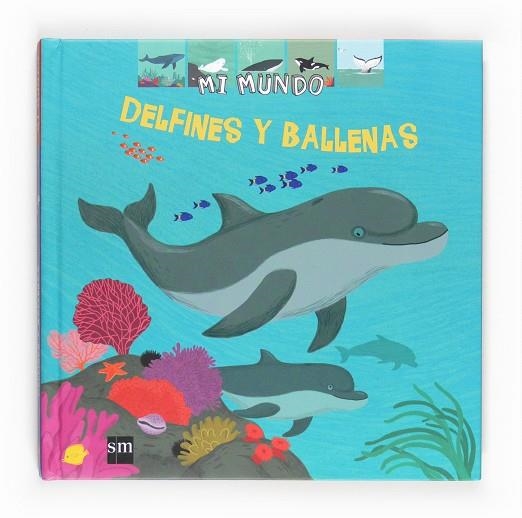 DELFINES Y BALLENAS | 9788467537994 | BAUSSIER, SYLVIE