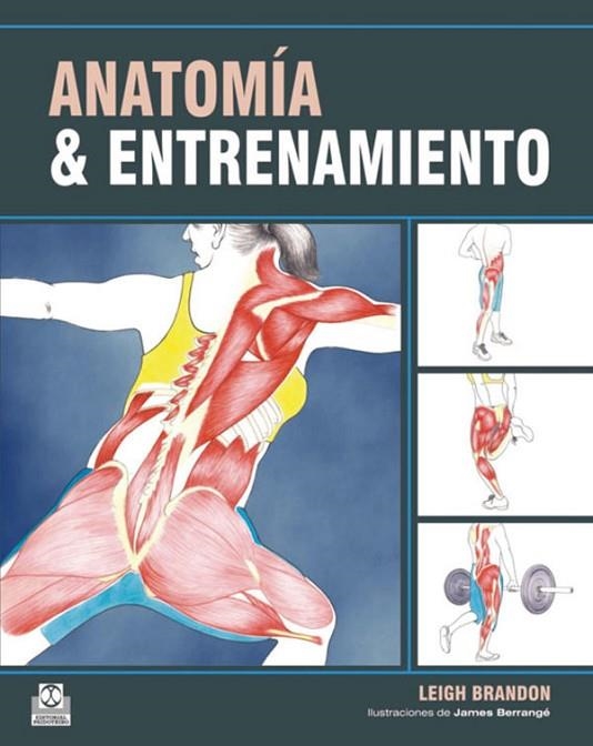 ANATOMIA Y ENTRENAMIENTO | 9788499100548 | BRANDON,LEIGH