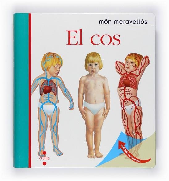 COS. AMB FULLS TRANSPARENTS | 9788466125154 | GALLIMARD JEUNESSE, ÉDITIONS