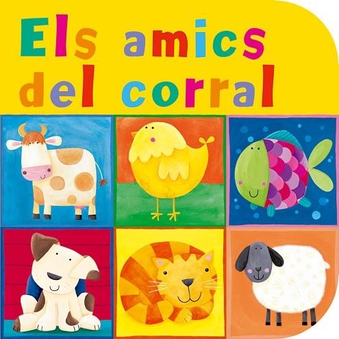 AMICS DEL CORRAL (TRENCACLOSQUES) | 9788498251944 | FLETCHER,JULIE