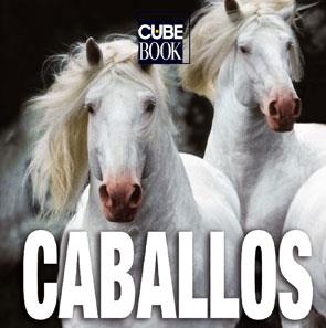 CABALLOS | 9788496865310 | AAVV