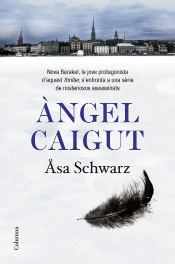 ANGEL CAIGUT | 9788466412889 | SCHWARZ,ASA