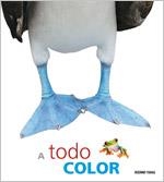 A TODO COLOR. DESPLEGABLE | 9786074003741 | VARIOS AUTORES