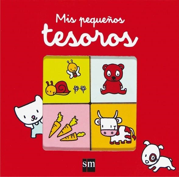 MIS PEQUEÑOS TESOROS | 9788467543865 | MANCEAU, ÉDOUARD