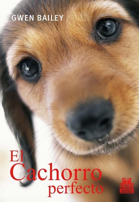 CACHORRO PERFECTO | 9788499100494 | BAILEY,GWEN