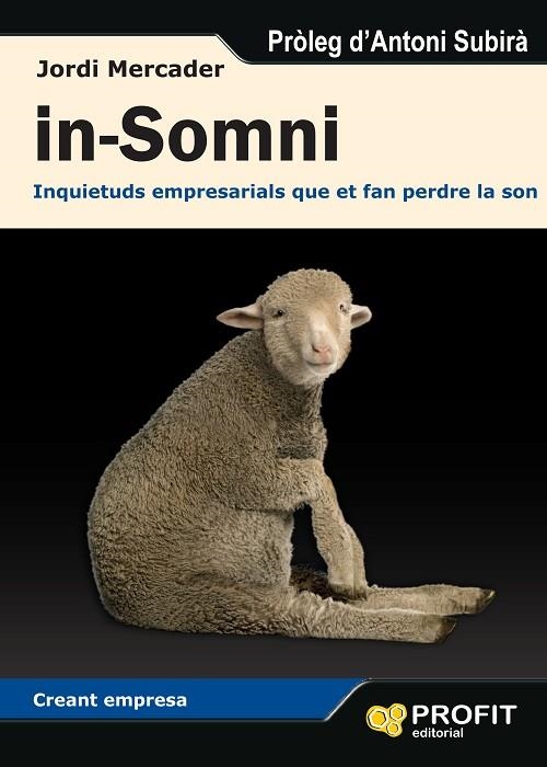 IN-SOMNI. INQUIETUDS EMPRESARIALS QUE ET FAN PERDRE LA SON | 9788492956654 | MERCADER,JORDI