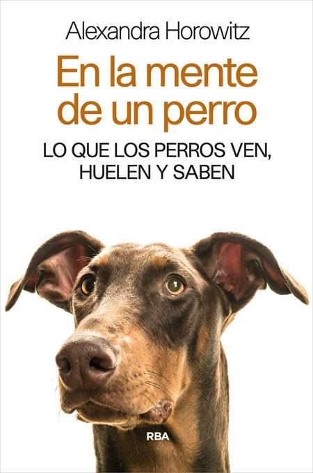 EN LA MENTE DE UN PERRO. LO QUE LOS PERROS VEN HUELEN Y SABEN | 9788490565346 | HOROWITZ,ALEXANDRA