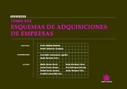 ESQUEMAS DE ADQUISICIONES DE EMPRESAS TOMO 30 | 9788490040652 | BELTRAN SANCHEZ,EMILIO M.