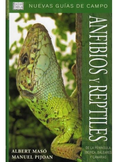 ANFIBIOS Y REPTILES DE LA PENINSULA IBERICA, BALEARES Y CANARIAS | 9788428213684 | MASO,ALBERT PIJOAN,MANUEL