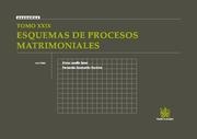 ESQUEMAS DE PROCESOS MATRIMONIALES TOMO 29 | 9788498767513 | LACALLE SERER,ELENA SANMARTIN ESCRICHE,FERNANDO