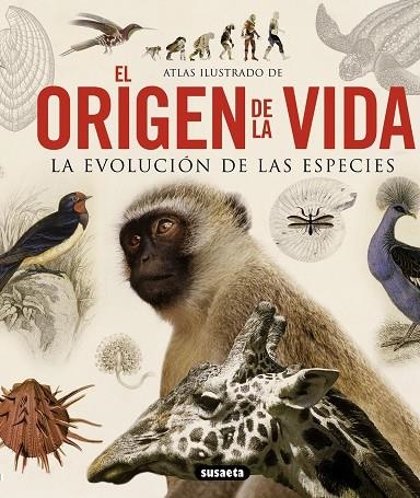 ORIGEN DE LA VIDA. LA EVOLUCION DE LAS ESPECIES | 9788467713336 | MASSA, RENATO