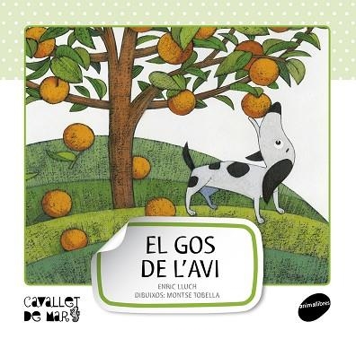 GOS DE L,AVI | 9788415095507 | LLUCH,ENRIC TOBELLA,MONTSE