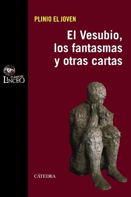 VESUBIO, LOS FANTASMAS Y OTRAS CARTAS | 9788437628899 | PLINIO EL JOVEN