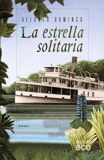 ESTRELLA SOLITARIA PREMIO NOVELA CIUDAD DE SALAMANCA | 9788498777079 | DOMINGO,ALFONSO