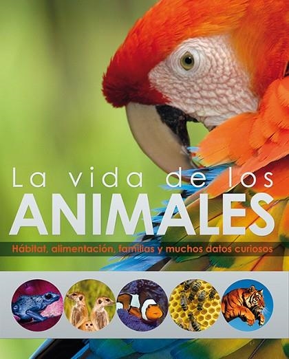 VIDA DE LOS ANIMALES | 9788428536691 | BURNIE, DAVID