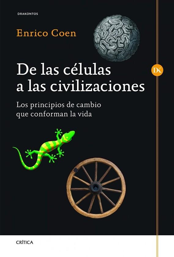 DE LAS CELULAS A LAS CIVILIZACIONES. LOS PRINCIPIOS DE CAMBIO QUE CONFORMAN LA VIDA | 9788498924954 | COEN,ENRICO