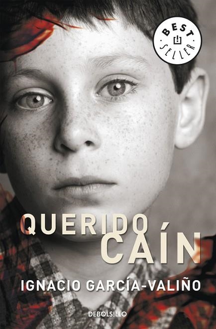 QUERIDO CAIN. FINALISTA V PREMIO CIUDAD DE TORREVIEJA 2006 | 9788483465899 | GARCIA-VALIÑO,IGNACIO