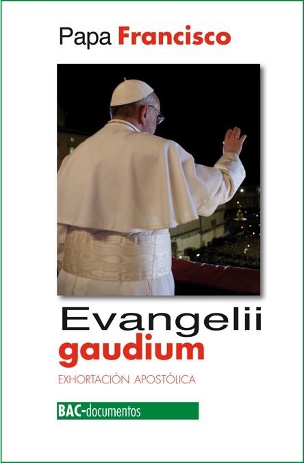 EVANGELII GAUDIUM EXHORTACION APOSTOLICA LA ALEGRIA DEL EVANGELIO | 9788422016946 | PAPA FRANCISCO (BERGOGLIO,JORGE MARIO)